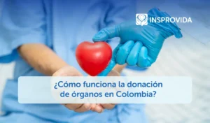 como-funciona-donacion-de-organos-colombia-insprovida