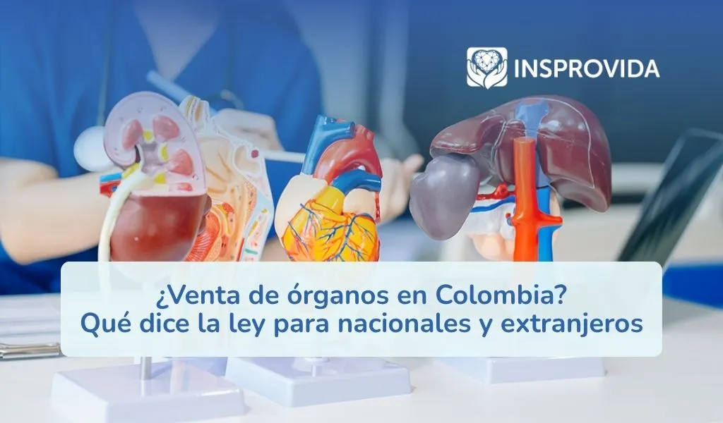 existe-venta-organos-en-colombia-que-dice-la-ley-para-nacionales-extranjeros